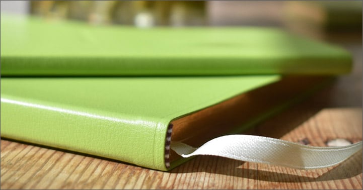 World Travel Journal  Green Traditional Leather – Graphic Image